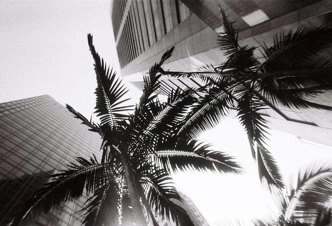 Lomography Simple Use Camera BW 400 - a48588_3db5ded23b274cefa02bf1674576a2d0_mv2